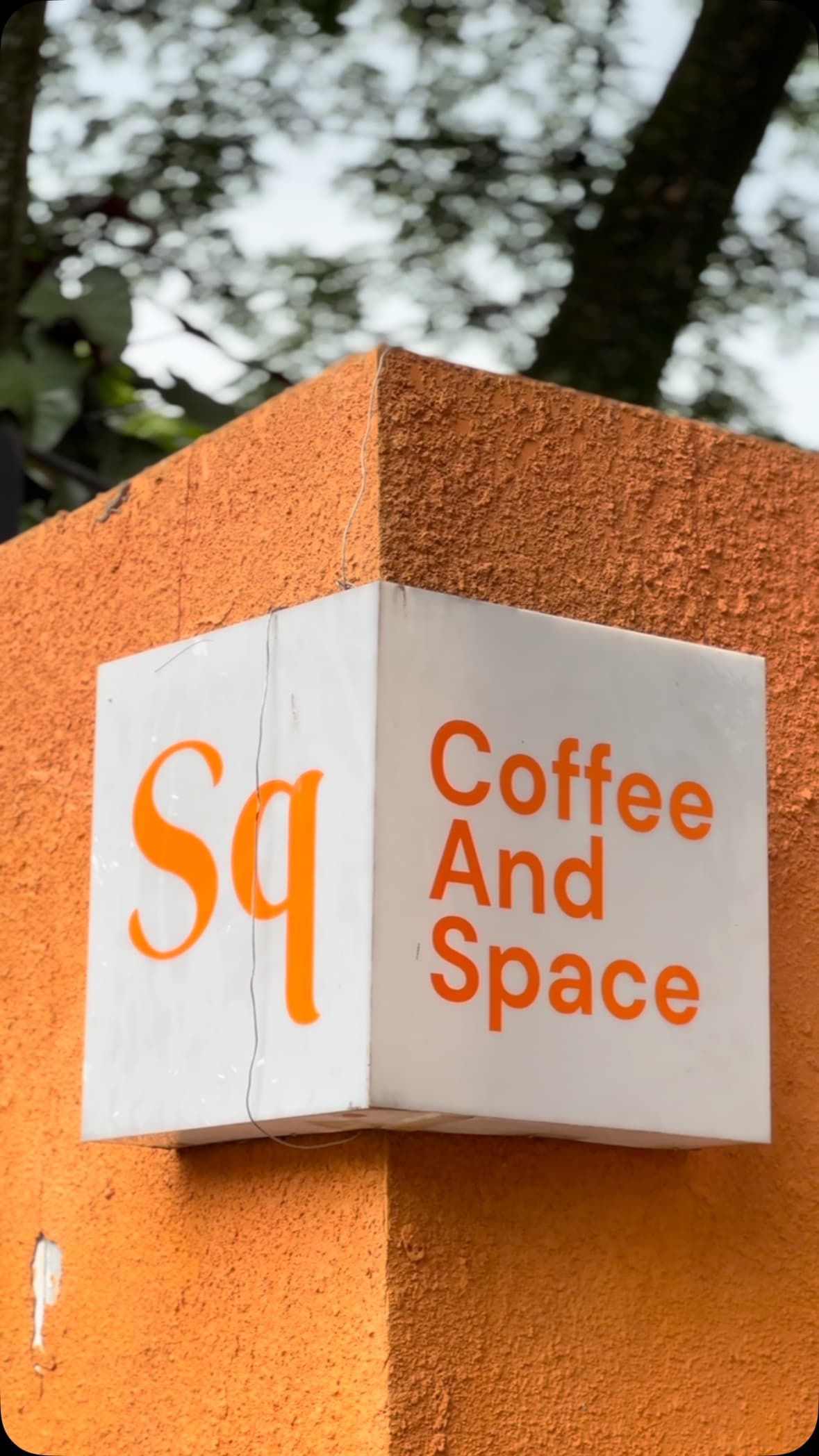 Sequoia Coffee And Space